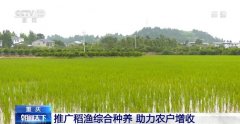 <b>沉庆摸索推广稻渔分析种养一田多收帮力农户</b>