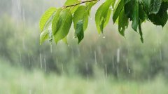 <b>周二“雨水”3生肖遇水则发专家揭开运诀窍</b>