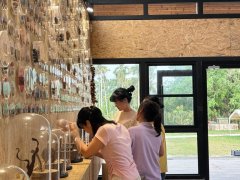 <b>一粒种子若何激活海南村落“绿色经济”</b>